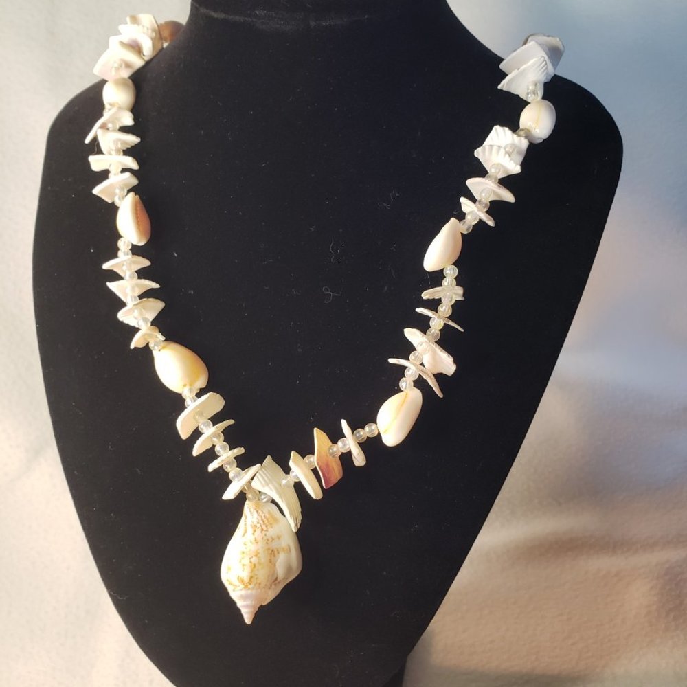 Necklace real sea shells